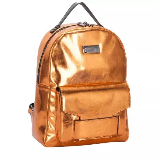 Adela Metallic Backpack Model